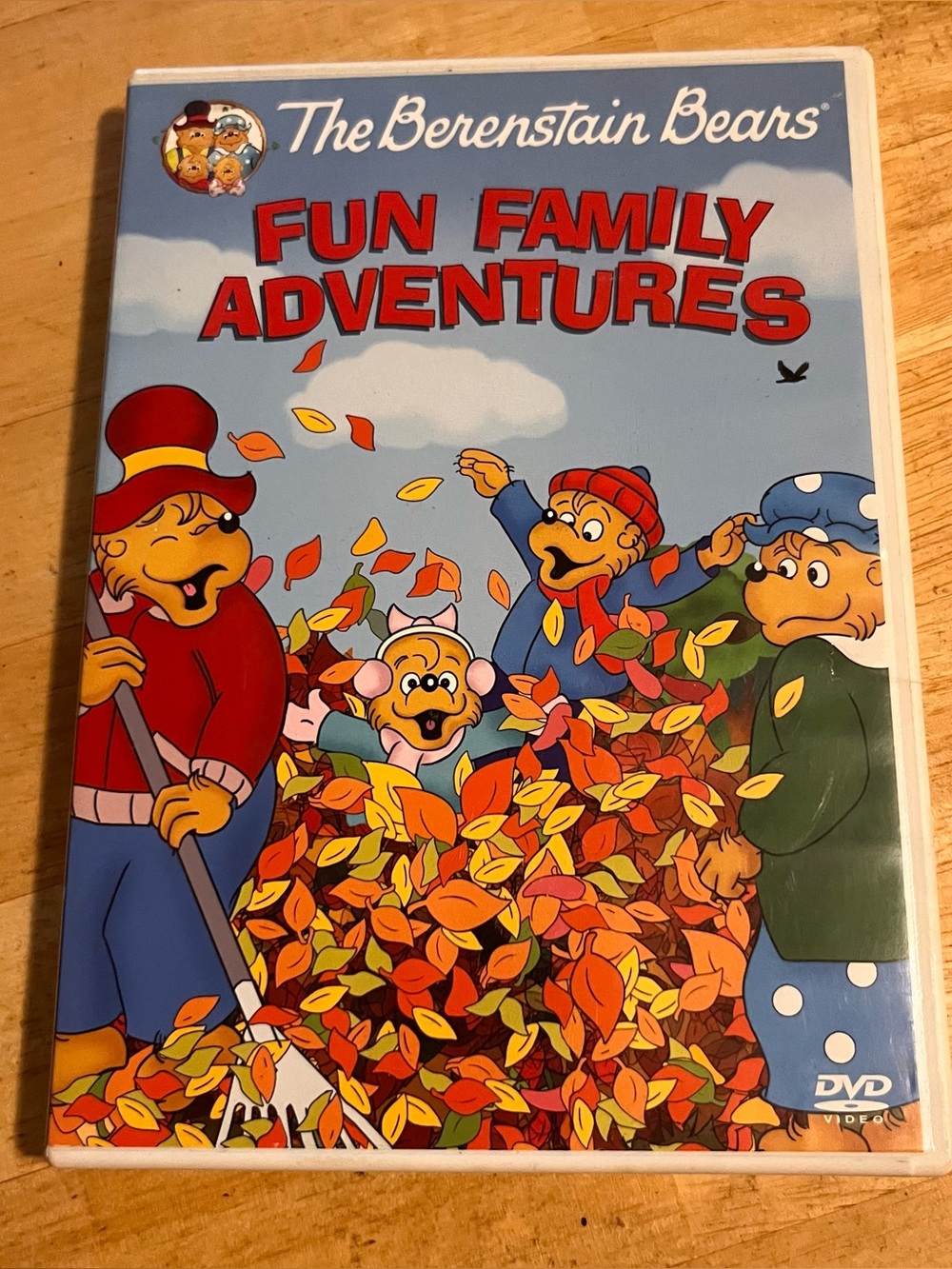 The Berenstain Bears: Fun Family Adventures DVD